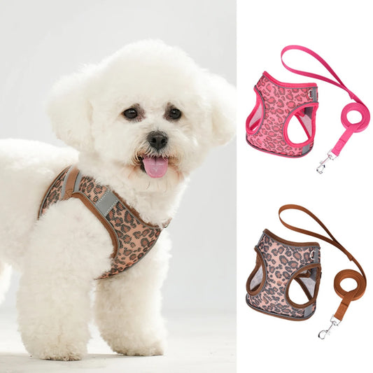 Soft Comfort Dog Harness with Leash – Breathable & Secure Fit