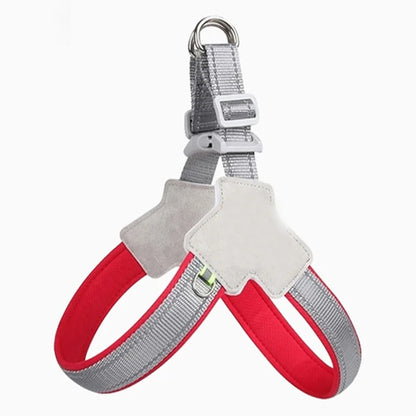 Dual-Handle Dog Leash Connector – Durable, Secure & Tangle-Free